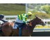  Carrera: P.Bannaby Caballo: Eddy´s Dream Monta: A.Gutiérrez Val